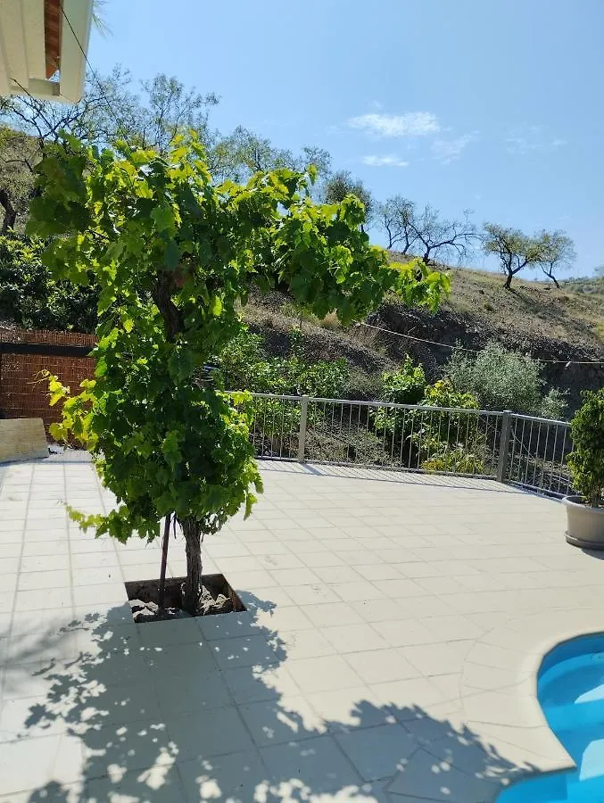 Villa Las Vinas Malaga