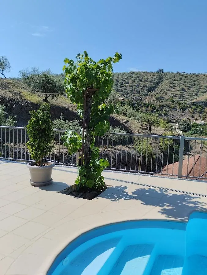 Villa Las Vinas Malaga
